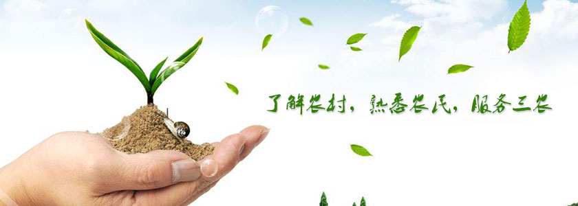 wenhua.jpg
