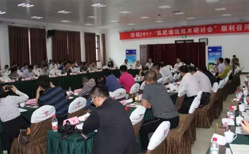 正规化肥企业迎来新机遇，下半年更看好国内市场